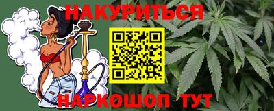 стаф Будённовск